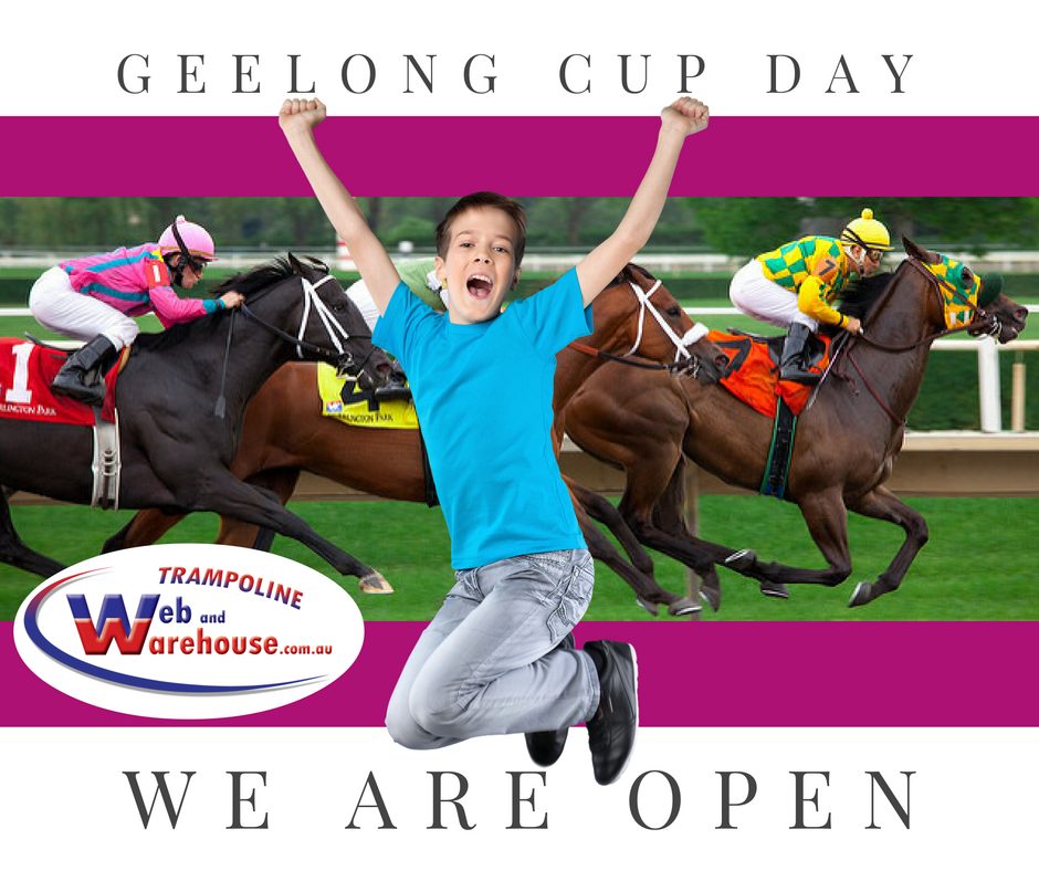 boy-jumping-for-geelong-cup
