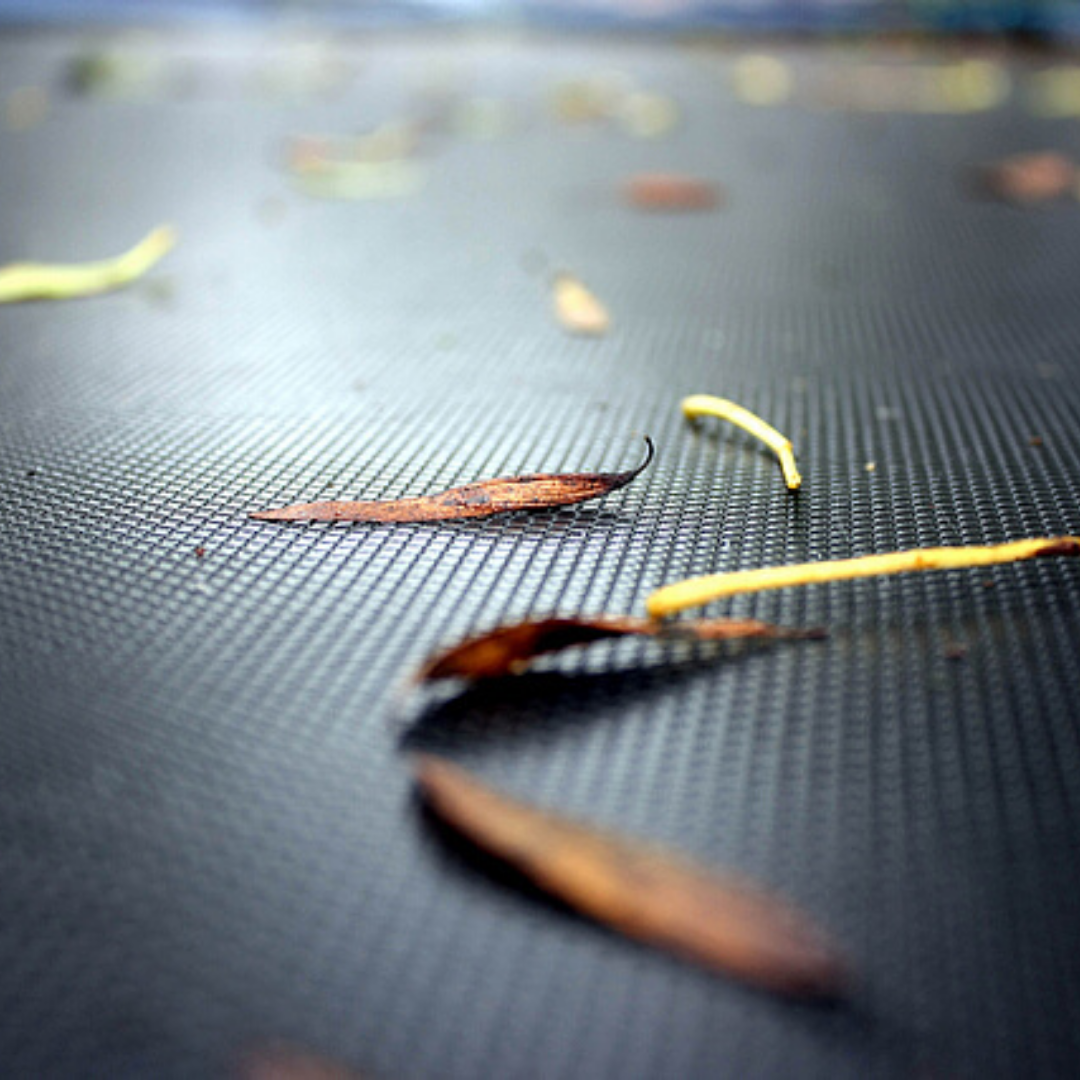 leaves-on-trampoline-mat