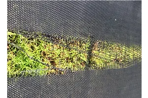 How and when to repair a rectangle trampoline mat
