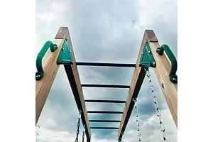 Lifespan Kids Daintree 2-in-1 Monkey Bars & Swing Set image 1778