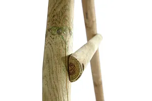 Plum® Colobus Wooden Double Swing Set with Double Glider image 2863