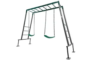 Lifespan Kids Stanley Commercial Steel 2-in-1 Monkey Bars &amp;amp; Swing Set image 5008