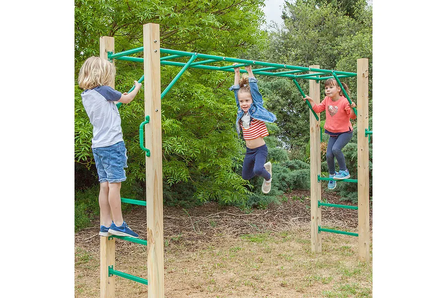 Lifespan Kids Amazon 2.5m Monkey Bar Set image 4532